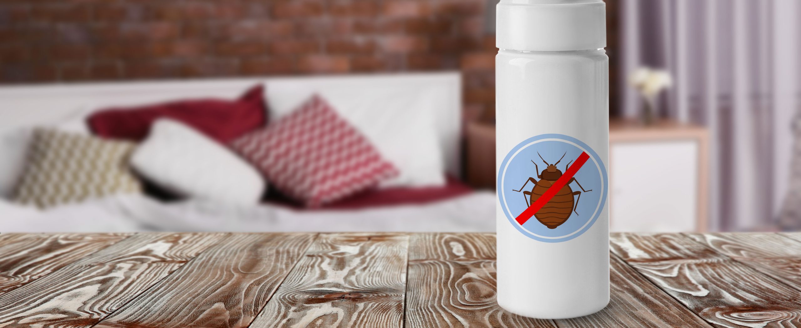 Bed Bugs In Hotels Everything You Need To Know Top Notch Richmond